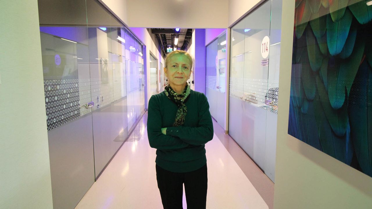 ÇİLEK, DOMATES, MANTAR VE BAKLA… BAHAR VE YAZ AYLARINDA BU BESİNLERE DİKKAT