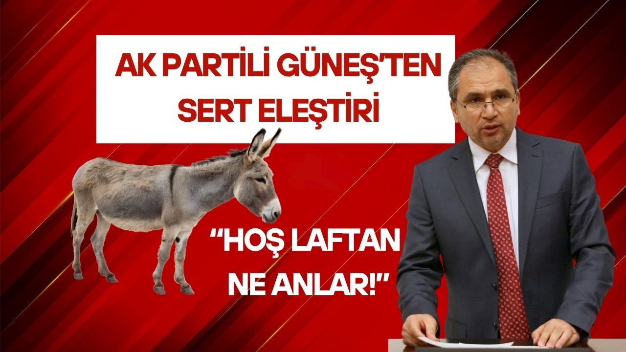 Güneş’ten Sert Eleştiri, “Eşek Hoş Laftan Ne Anlar!”