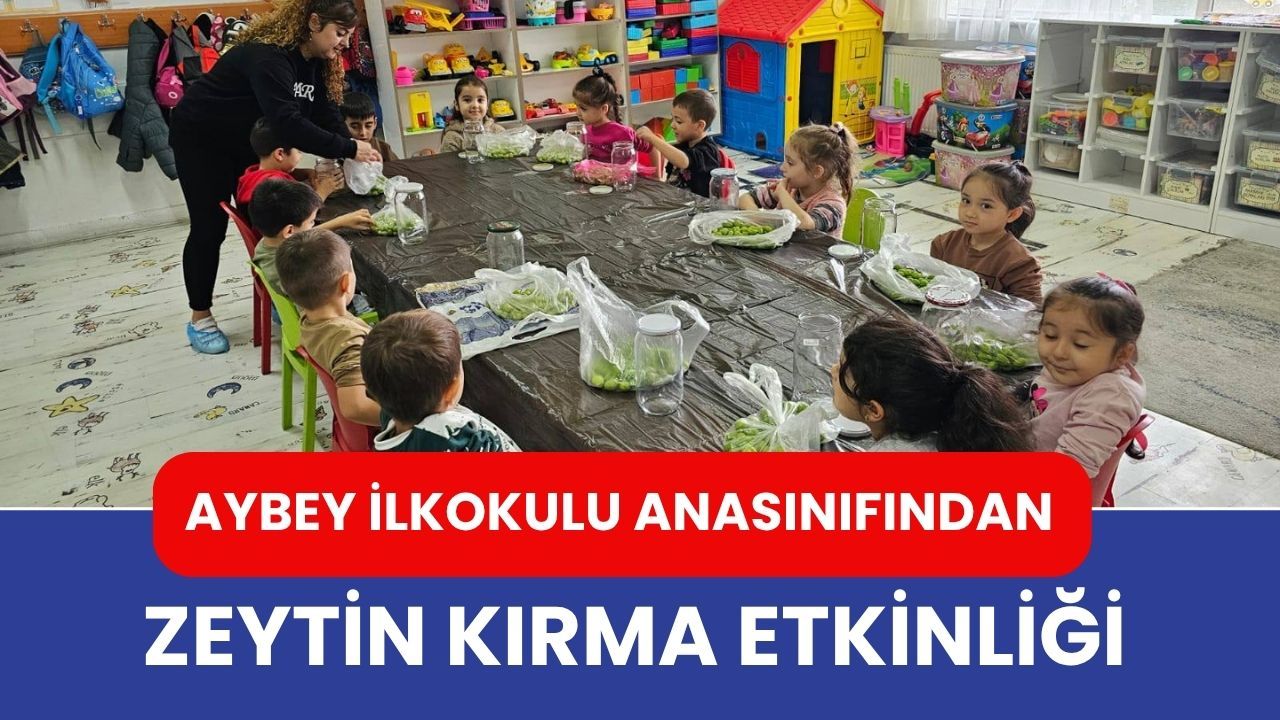 Aybey İlkokulu Anasınıfından Zeytin Kırma Etkinliği