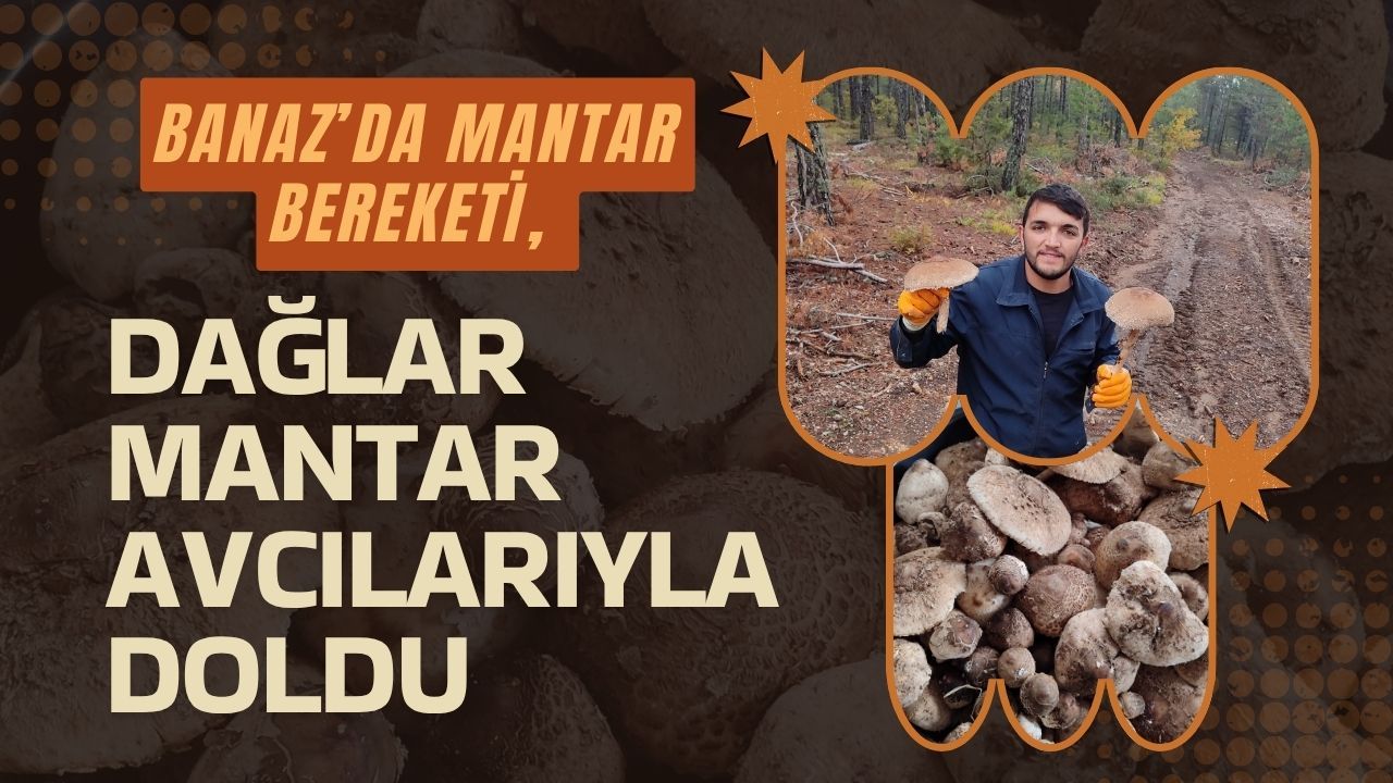 Banaz’da Mantar Bereketi, Dağlar Mantar Avcılarıyla Doldu
