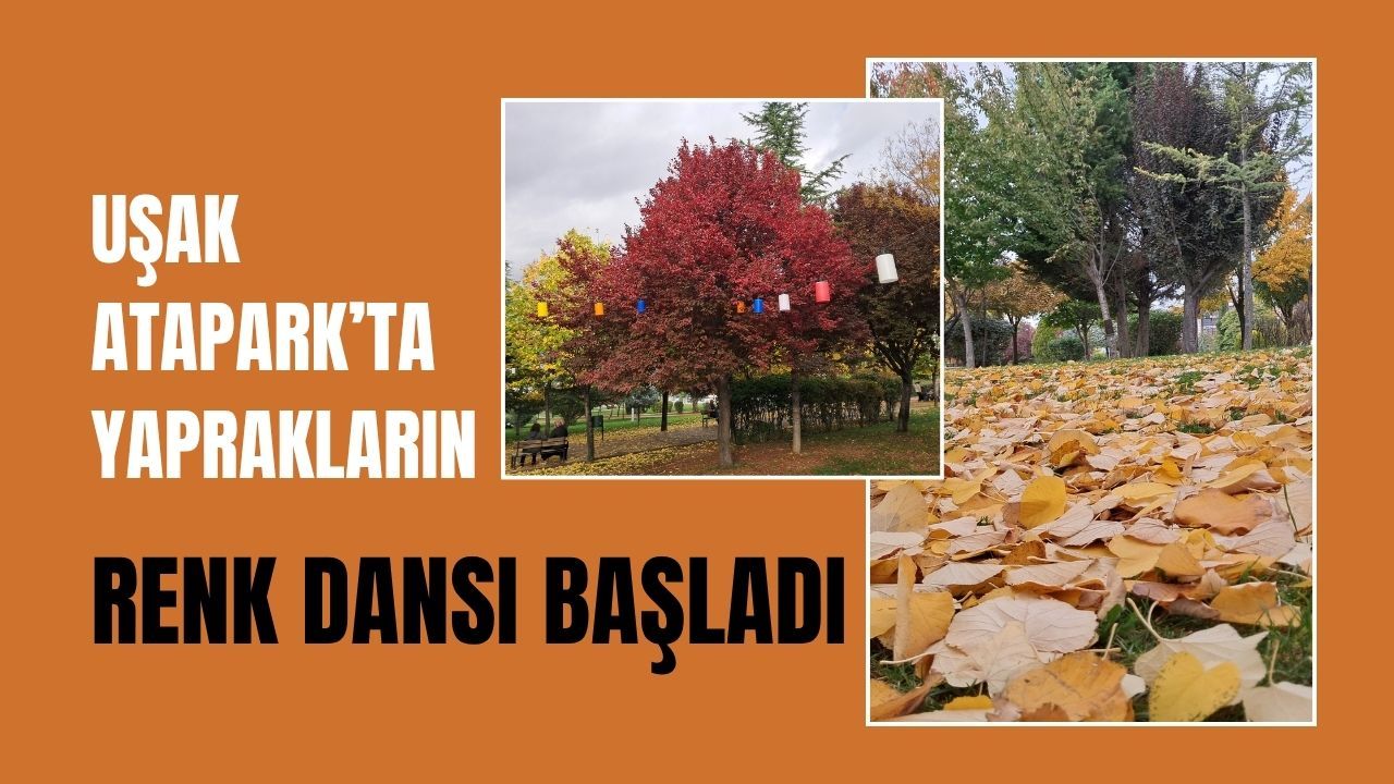 Uşak Atapark’ta Yaprakların Renk Dansı Başladı