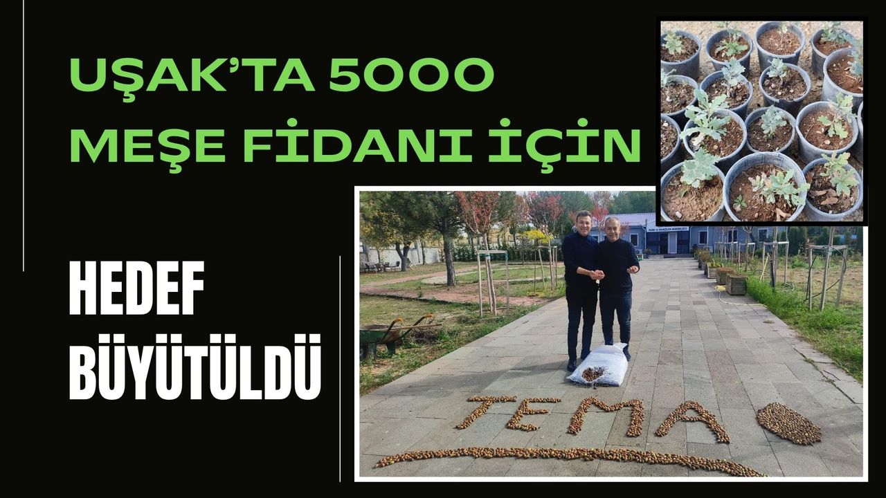 Uşak’ta 5000 Meşe Fidanı İçin Hedef Büyütüldü