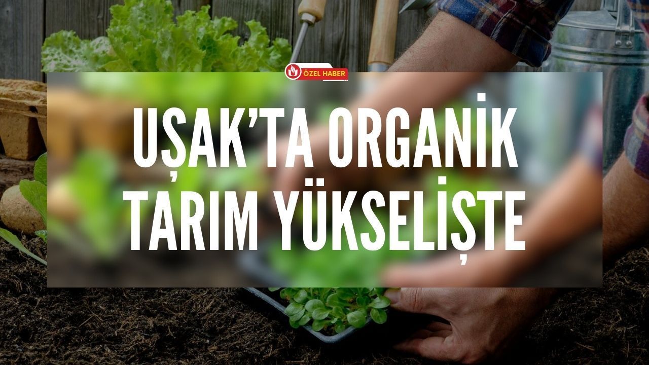 Uşak’ta Organik Tarım Yükselişte
