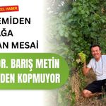 Akademiden Toprağa Uzanan Mesai, Prof. Dr. Barış Metin Üretimden Kopmuyor