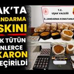 Uşak’ta Eve Jandarma Baskını, Kaçak Tütün ve Binlerce Makaron Ele Geçirildi