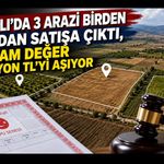 Sivaslı’da 3 Arazi Birden İcradan Satışa Çıktı, Toplam Değer 8 Milyon TL’yi Aşıyor