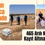 Uşak’ın Dutluca Köyünde 465 Arılı Kovan Kayıt Altına Alındı