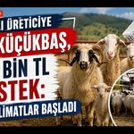 Uşaklı Üreticiye 100 Küçükbaş, 180 Bin TL Destek: İlk Teslimatlar Başladı