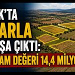 Uşak’ta 5 Tarla Satışa Çıktı: Toplam Değeri 14,4 Milyon TL