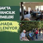 Uşak’ta Hayvancılık İşletmeleri Sahada İnceleniyor: Üreticinin Sorunları Yerinde Dinleniyor