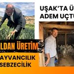 Uşak’ta Üretici Adem Uçtu’dan İki Koldan Üretim: Hem Hayvancılık Hem Sebzecilik