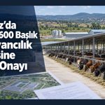 Banaz’da 3 Bin 600 Başlık Hayvancılık Tesisine ÇED Onayı