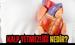 Kalp Yetmezliği Nedir?