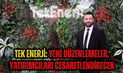 Tek Enerji: Yeni düzenlemeler, yatırımcıları cesaretlendirecek