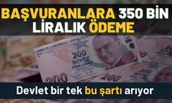 Hızla başvuran alacak: Devletten bu şartı taşıyan herkese 350 bin lira ödeme