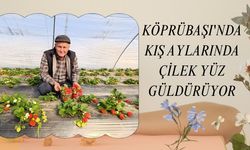 KÖPRÜBAŞI'NDA KIŞ AYLARINDA DA ÇİLEK YÜZ GÜLDÜRÜYOR