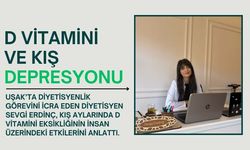 D VİTAMİNİ VE KIŞ DEPRESYONU