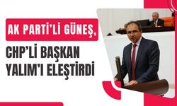 Milletvekili Güneş, Başkan Yalım’ı Eleştirdi