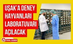 Uşak’a Deney Hayvanları Laboratuvarı Açılacak