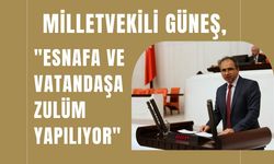 Milletvekili Güneş, "Esnafa ve Vatandaşa Zulüm Yapılıyor"