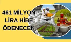 461 MİLYON LİRA HİBE ÖDENECEK