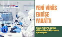 Yeni virüs endişe yarattı