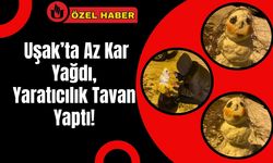 Uşak’ta Kar Az Yağdı, Yaratıcılık Tavan Yaptı!