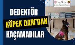 Dedektör Köpek Darı’dan Kaçamadılar