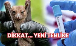 DİKKAT.. YENİ TEHLİKE