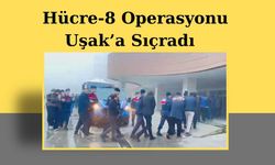 Hücre-8 Operasyonu Uşak’a Sıçradı