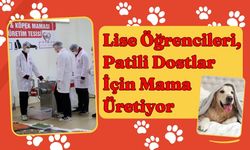 Lise Öğrencileri, Patili Dostlar İçin Mama Üretiyor