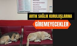 Artık Sağlık Kuruluşlarına Giremeyecekler