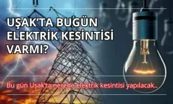 UŞAK’TA SALI GÜNÜ ELEKTRİK KESİNTİLERİ