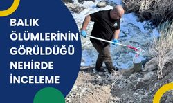 Balık Ölümlerinin Görüldüğü Nehirde İnceleme