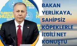 BAKAN YERLİKAYA, SAHİPSİZ KÖPEKLERLE İLGİLİ NET KONUŞTU