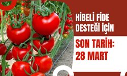 Hibeli Fide Desteği İçin Son Tarih: 28 Mart