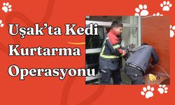 Uşak’ta Kedi Kurtarma Operasyonu