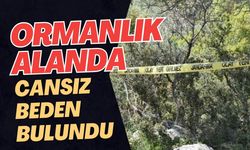 ORMANLIK ALANDA CANSIZ BEDEN BULUNDU