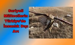 Suriyeli Mültecilerin Türkiye’de İnsanlık Dışı Avı