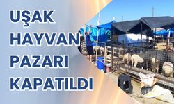 Uşak Hayvan Pazarı Kapatıldı