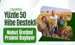 Uşak'ta Yüzde 50 Hibe Destekli Nohut Üretimi Projesi Başlıyor