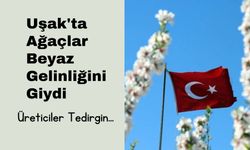 Uşak'ta Ağaçlar Beyaz Gelinliğini Giydi: Üreticiler Tedirgin