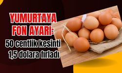 Yumurtaya fon ayarı: 50 centlik kesinti 1,5 dolara fırladı