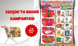 EGEŞOK’TA BAHAR KAMPANYASI