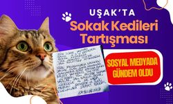 Uşak’ta Sokak Kedileri Tartışması Sosyal Medyada Gündem Oldu