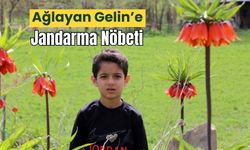 Ağlayan Gelin’e Jandarma Nöbeti