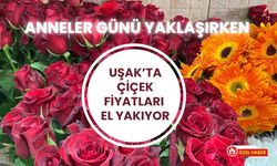 Anneler Günü Yaklaşırken Uşak’ta Çiçek Fiyatları El Yakıyor