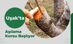 Uşak’ta Aşılama Kursu Başlıyor