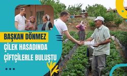 Başkan Dönmez Çilek Hasadında Çiftçilerle Buluştu