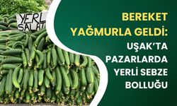 Bereket Yağmurla Geldi: Uşak’ta Pazarlarda Yerli Sebze Bolluğu